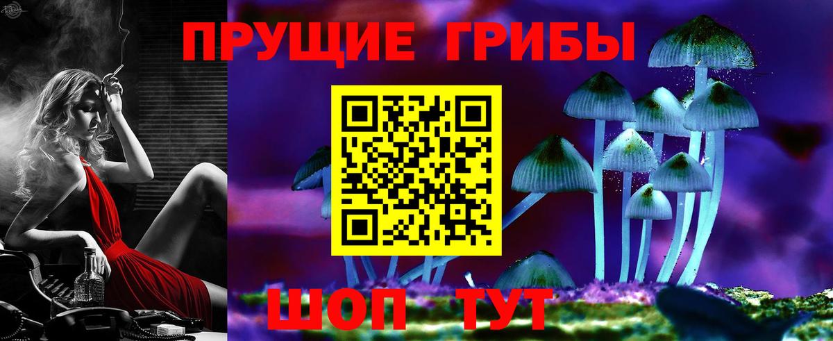 Псилоцибиновые грибы Cubensis  наркошоп  Реж  Псилоцибиновые грибы Cubensis  Вход с VPN 