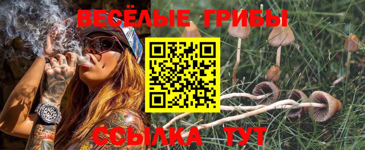 Галлюциногенные грибы MAGIC MUSHROOMS Реж